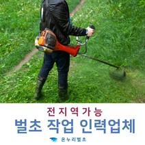 벌초작업대행 벌초작업회사 벌초작업업체 잡풀제거 산소벌초업체 산소벌초회사 산소벌초인력 산소벌초용역 산소벌초도우미 벌초제초 제초용역 예초작업대행