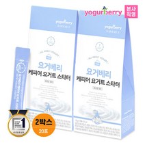 휴럼 요거베리 케피어 요거트 스타터 티벳버섯 2박스 5g x 20포, 단품, 단품
