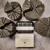 큐웰엠 참숯 다용도 탈취제, 200g, 1개