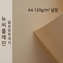 뉴씨플레인 종이문화 얇은 양면색지 120g A4 낱장 1매 No.56 굴색, 1장