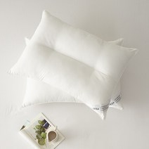 세사(침구) SESA N뉴컴퍼터블 경추베개솜 40X60