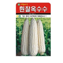 SN월드 씨앗 열매채소 과일채소 모음, 흰찰옥수수