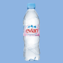 에비앙 생수 330ml x 24개 (1박스), 에비앙(Evian)생수 330mlX24ea(1박스)