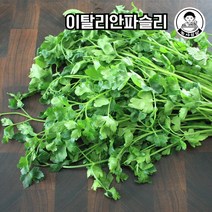 당일작업! 이탈리안파슬리 향나물 이태리파슬리 50g/100g, 50g