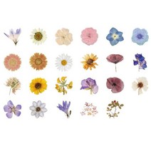 오르프Sumflower 가을 꽃 스티커 Diy 스크랩북 일기 플래너 장식 앨범 46 개/세트, [01] 공간, 01 공간