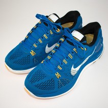 887.나이키 루나글라이드5 매쉬 스니커즈/정품/남성