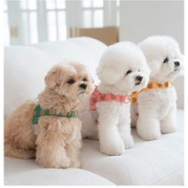 발사탕때때/쁘띠베어 목줄 하네스 / 리드줄set / 5color 강아지 애견 곰돌이 귀여운, 노랑