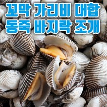 국산 남해안 통영 새꼬막 활 꼬막 비빔밥 무침 피조개 대합 가리비 바지락 동죽 조개 구이 캠핑 요리 1kg 2kg 3kg, 13. 피조개 4kg