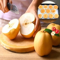 프리미엄 명품 배 선물세트 추석, 특_7.5kg (8~12과)