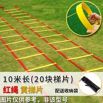 축구 허들 단련 리턴볼 트랙 훈련용품 패스 체력 장애물 풋살 육상 점프 미니허들 리바운드, H. 20개의 민첩한 사다리