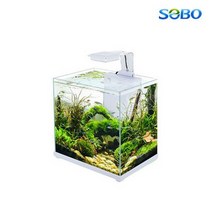 SoBo 소보 CL 300F 배면섬프일체어항.수이사쿠