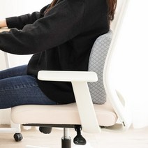 [에어룸] 바른자세 메모리폼 허리베개, 단품