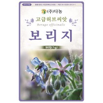 보리지 1g - 허브 허브씨 허브씨앗 씨 씨앗 보리지씨앗 보리지씨 꽃씨 꽃씨앗 허브꽃 Borage, 08_다농_보리지(1g)
