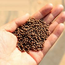 1kg 인산이 암모늄 DAP 식물 과일 채소 및 꽃 장미용 일반 유기 거름 복합 비료