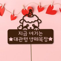 네임코코 동물토퍼 케이크토퍼 생일토퍼 기념일토퍼 파티용품, TP-양-다크브라운