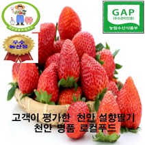 [천안 명품 로컬푸드] 명절 선물용 국내 최초 로컬푸드 온라인 전용매장 농부생산 당일 수확 발송 프리미엄 햇 설향 딸기 700g 24구 35구(왕특 2박스주문딸기즙증정), 24구(왕특)
