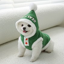 강아지 산타옷 크리스마스데이, GREEN
