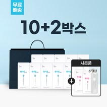 리얼그램 화이링워터 10박스+2박스 기획제품 활력충전 이너뷰티, [10+2박스] 화이링워터 10박스 레몬맛, 12박스, 80g