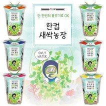 한컵새싹농장 씨앗키우기 6종 / 새싹기르기 모종키우기 씨앗 꽃 재배, 브로콜리