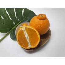 써니트 한라봉 제주 한라봉 프리미엄과일 한라봉박스 가정용 중소과 중대과 3kg 10kg, 1개, [특가] 가정용/10kg/중대과/38~45과