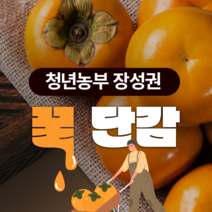 청년농부 고당도 진영단감 중대과 농가직송, 1박스, 5kg(20~24개)