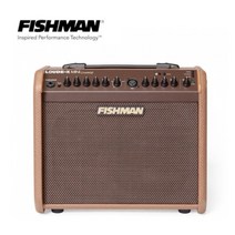 Fishman Loudbox Mini Charge 피쉬맨 라우드박스 미니 챠지/ 충전식 앰프/ 버스킹 앰프/ 블루투스 앰프