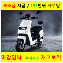 정부 보조금 혜택 / KIMST DICE 킴스트 다이스 전기 오토바이 72V/40Ah 최대거리 80키로 최고속도 80키로 주행