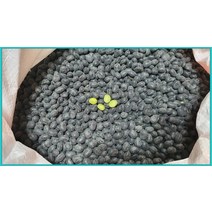 이랑농장22년 햇 서리태속청 새바람콩5kg