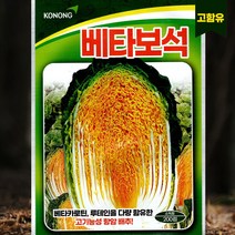 항암배추 씨앗 항암김장배추씨앗 잎이 얇고 엽수가 많은 진한황금색 베타보석 200립