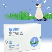 캣그라스재배세트 고양이풀키우기 마따따비화분 캣닢씨앗 스트레스해소 이갈이장난감, 1개