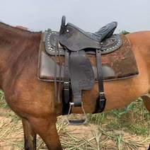 말안장하네스 가죽 말레이시아 승마 관광객 리차드 소프트 컴플리트 세트 수동 강철 해골 말, 02 YELLOW