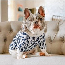반려동물 강아지 고양이 용품 럭셔리 디자이너 새로운 개 스웨터 럭셔리 패브릭 개 옷 애완 동물 재킷 편안하고 부드러운 프랑스 불독 코기 비숑, 01 XS, 01 WHITE