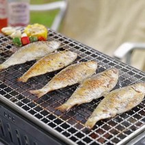 3분뚝딱 오디 숙성 전어구이 5마리, 단품없음