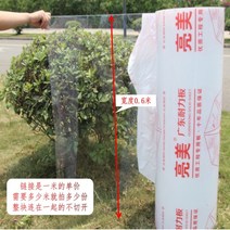조립식 판넬 PC보드 투명 투광판 발코니 채광판 공사 지붕 패널 방수 플라스틱 자재 테라스, 2100x1000x2.0mm