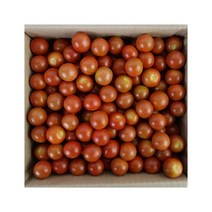 체리토마토 4kg