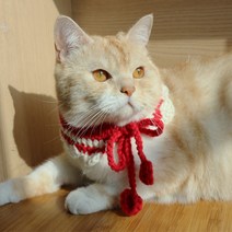 주썸 고양이 강아지 새싹반케이프 핸드메이드 손뜨개, 검정