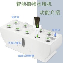 led수경재배기 가정용스마트팜 야채재배기 채소재배기 수경 시스템 자동 Led 정원 온실 스마트 실내 화분 가정용 수직 재배 설치, White