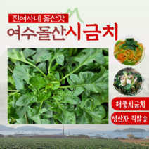[진여사네돌산갓] 여수 돌산 시금치 남해 노지 섬초 2kg 4kg, 시금치 2kg