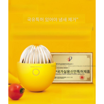 이온 살균 냉장고 탈취 기계 냄새 제거기 순환, 옐로우