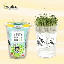 우리가스토리 미니화분키우기 꽃 화초 공기정화식물 새싹 허브 텃밭 화분, 1개, 한컵새싹농장_유채