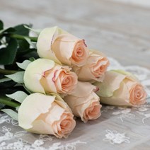 아인플라워 생화같은 장미 조화 6P, 그린핑크