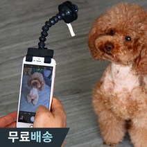 더우지 반려동물 강아지 간식집게 셀카봉