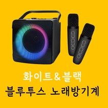 가정용 노래방기계 블루투스 휴대용 마이크 소형 노래 반주기 미니 노래방, 블랙