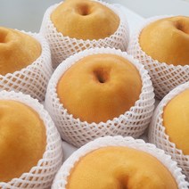 직거래농민장터 나주 신고배 배 당도선별 특품 가정용, 나주배 7.5kg 9-10과 특대과 특품