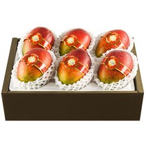 [제주한라농원] 한라산 제주애플망고, 3kg 5~6수
