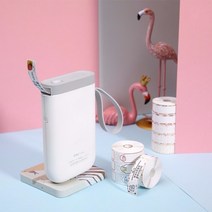라벨프린터 매직기기 이름스티커 스위치 스티커지 수동 기두드리는 레이블 인쇄기 신발상자 작은사이즈 가격 감열 센스 오토, T14-I29-상금그린 12x40160장, C01-공식모델