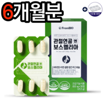 프롬바이오 관절연골 엔 보스웰리아 850mg x 30정 이병헌보스웰리아 보스웰리아효능 홈쇼핑보스웰리아 관절에좋은음식 뼈골절에좋은음식 무릎관절 영양제 추천 알약케이스, 6개월분