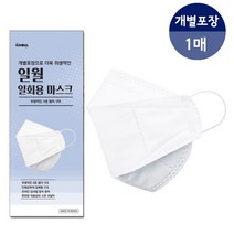 일월 일월4중필터마스크, 1개
