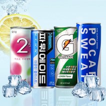 빠른배송 스포츠 이온음료 모음 포카리 게토레이 파워에이드 캔음료 사무실 탕비실, 산타페오리지날175ml