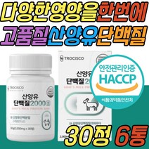 시니어 산양유 단백질 보충제 BCAA 유당 제거 고단백 음식 식품 분리 유청 밀크 칼슘 미셀라 카제인 정 알약 흡수 소화 잘되는 50대 60대 70대 80대 여자 남자 여성 남성 청소년